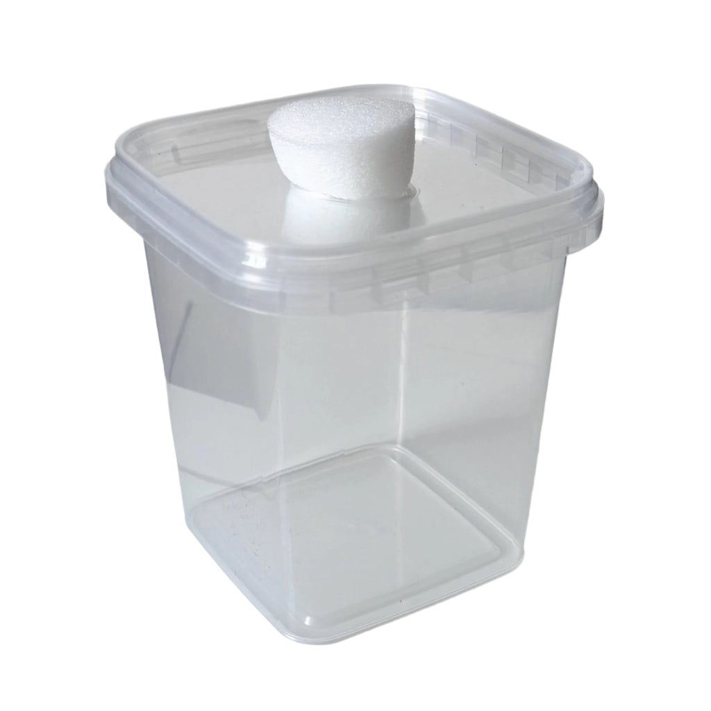 Foam Vented Culture Tubs front angle view