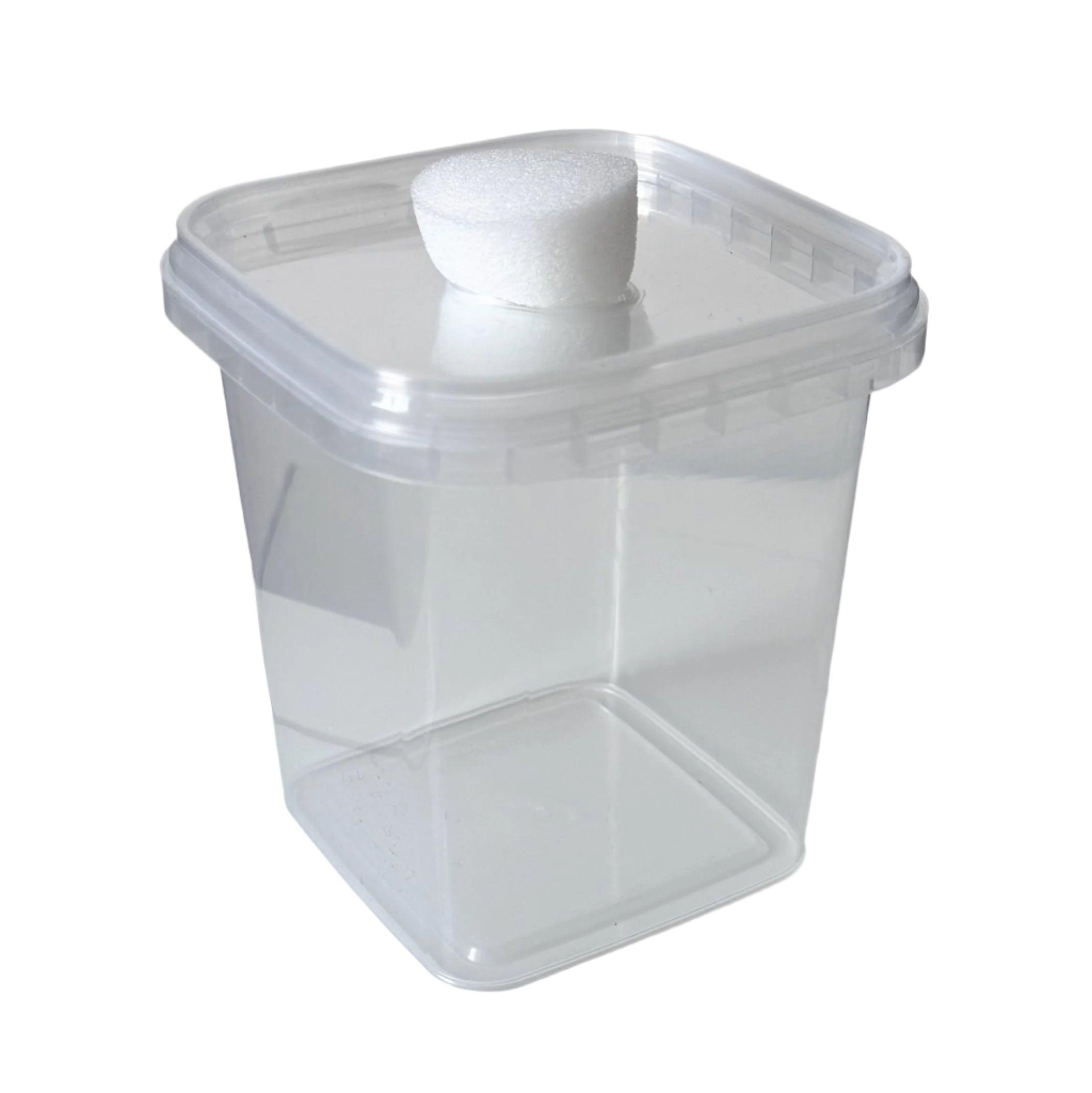 Foam Vented Culture Tubs front angle view