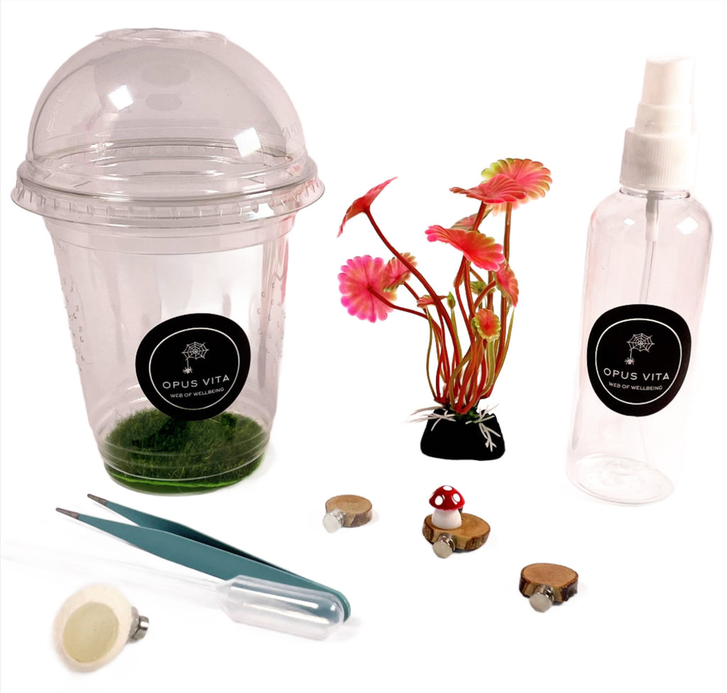 Starter Cups Kits - for Jumping Spider - Small Enclosures - Opus Vita