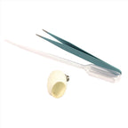 Starter Cups Kits - for Jumping Spider - Small Enclosures - Opus Vita