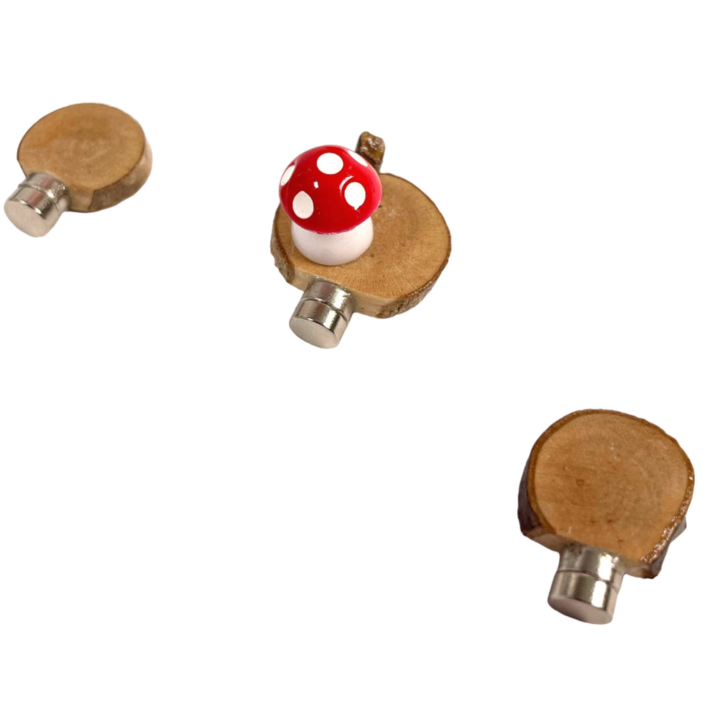 Starter Cups Kits - for Jumping Spider - Small Enclosures - Opus Vita