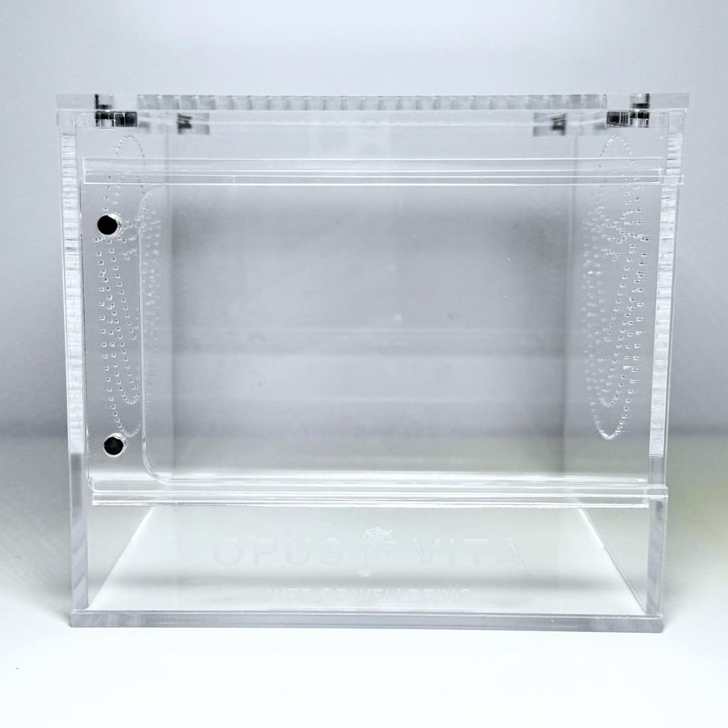 Jumping Spider Enclosure - The Domus v2.0 - Premium Arboreal Habitat