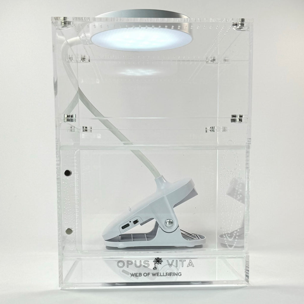 Jumping Spider Setup - Domus Bundle - Premium Enclosure Setup