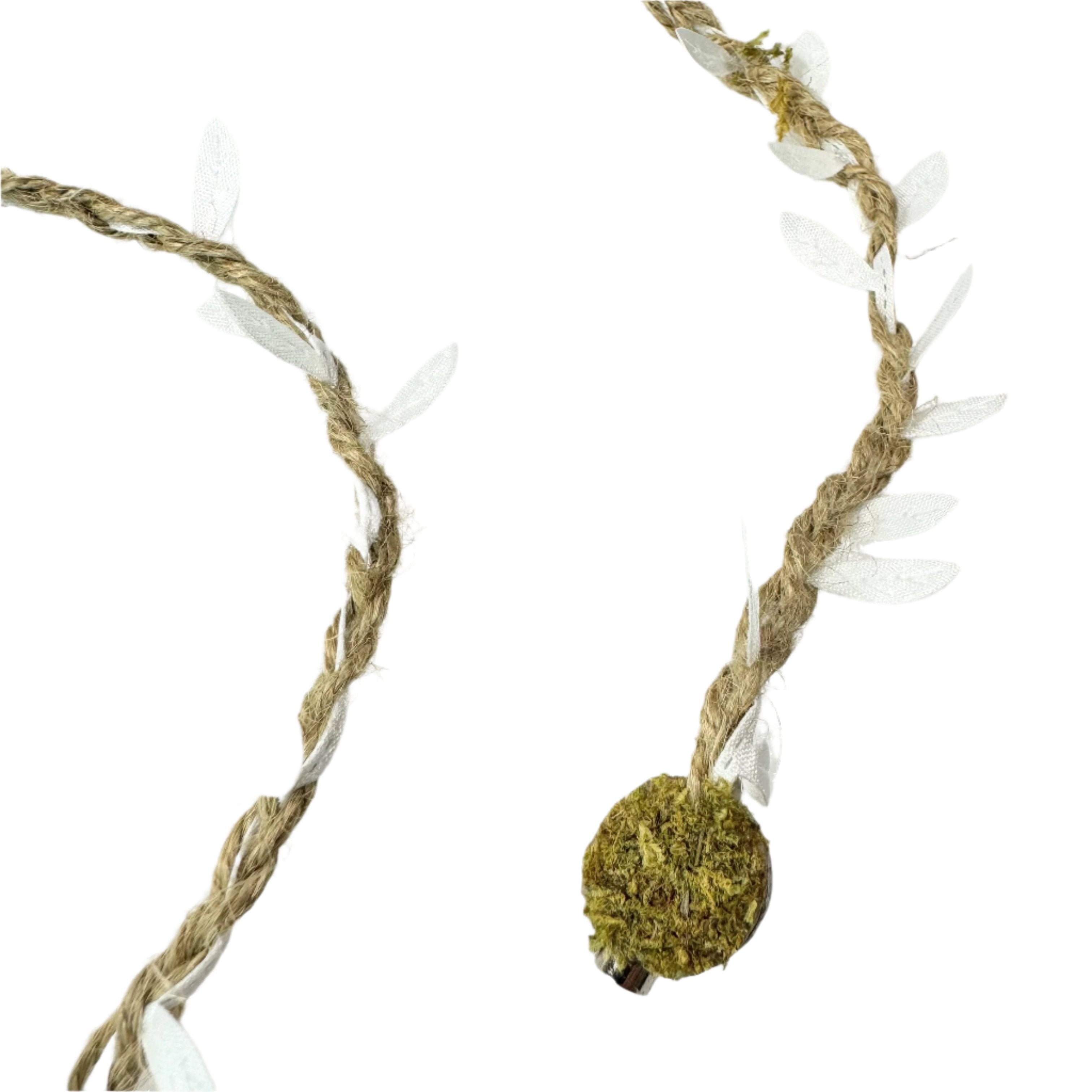 Rope bridges with Twine - Decor - for Jumping Spiders