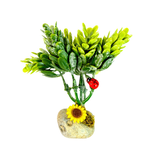 Pebble Island - Green Plant with Ladybird, Sunflower - for Jumping Spiders