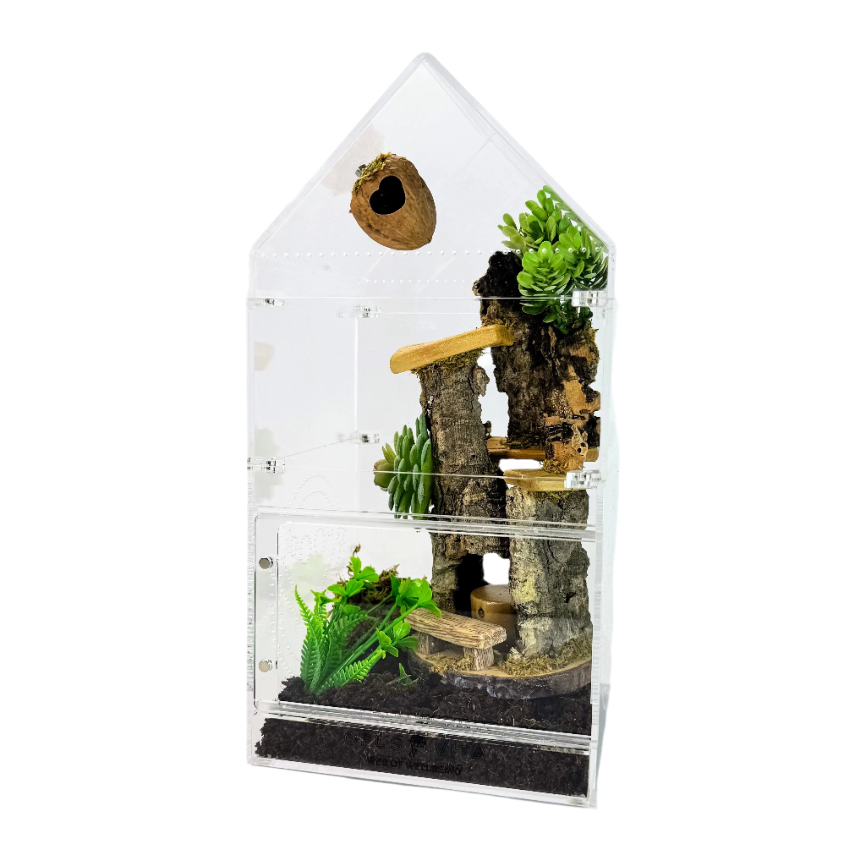 Jumping Spider Enclosure - Domus - 4 in 1  - Premium Arboreal Habitat