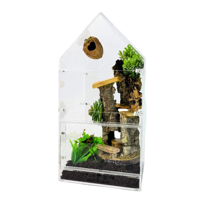 Jumping Spider Enclosure - Domus - 4 in 1  - Premium Arboreal Habitat