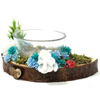 Blossom Bowl Ledge – Practical, Pretty, and Perfect for Feeding Time!