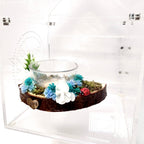 Blossom Bowl Ledge – Practical, Pretty, and Perfect for Feeding Time!