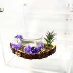 Blossom Bowl Ledge – Practical, Pretty, and Perfect for Feeding Time!