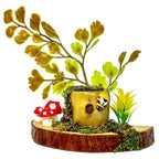 Forest Floor Ledge – A Woodland Retreat for Your Jumper!