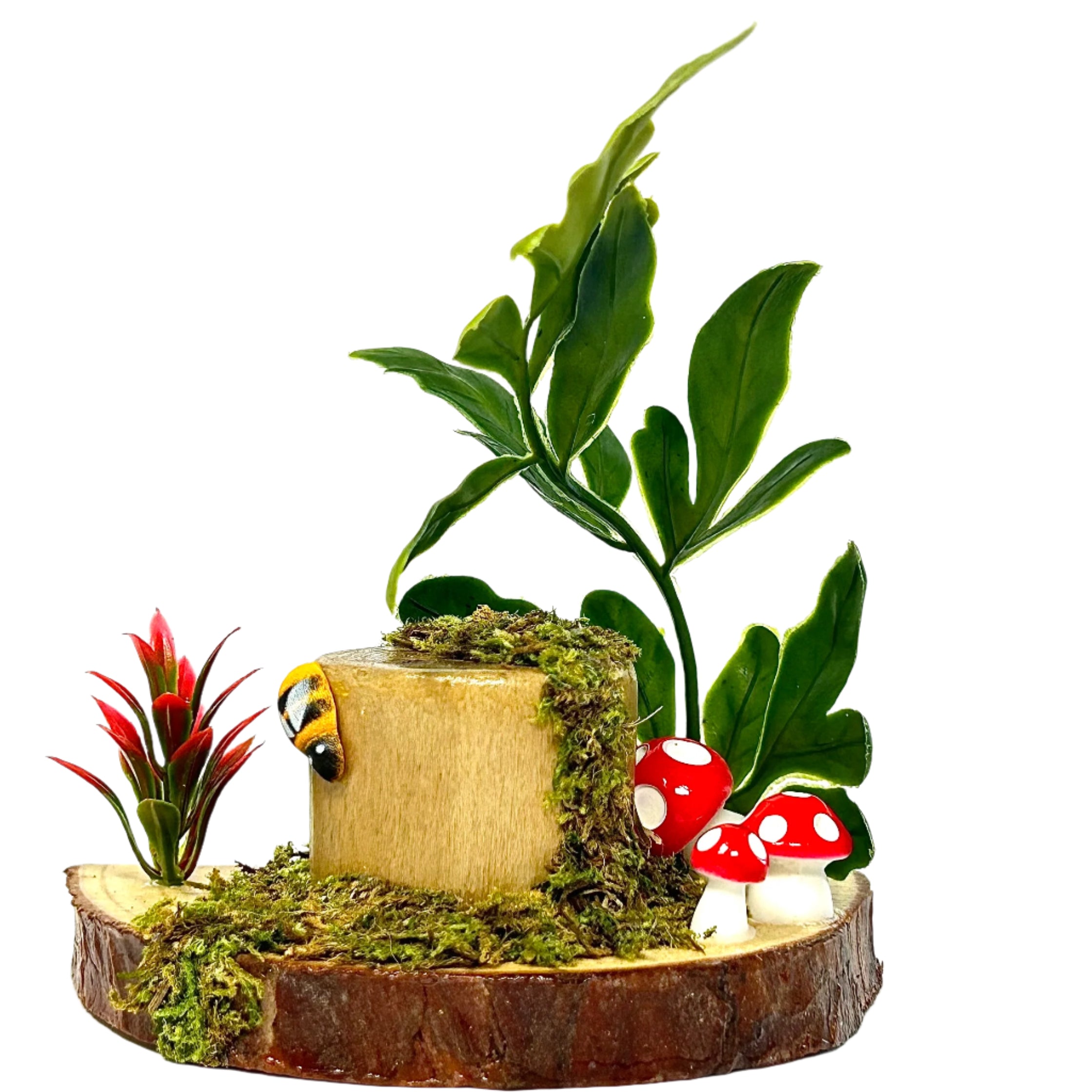 Forest Floor Ledge – A Woodland Retreat for Your Jumper!