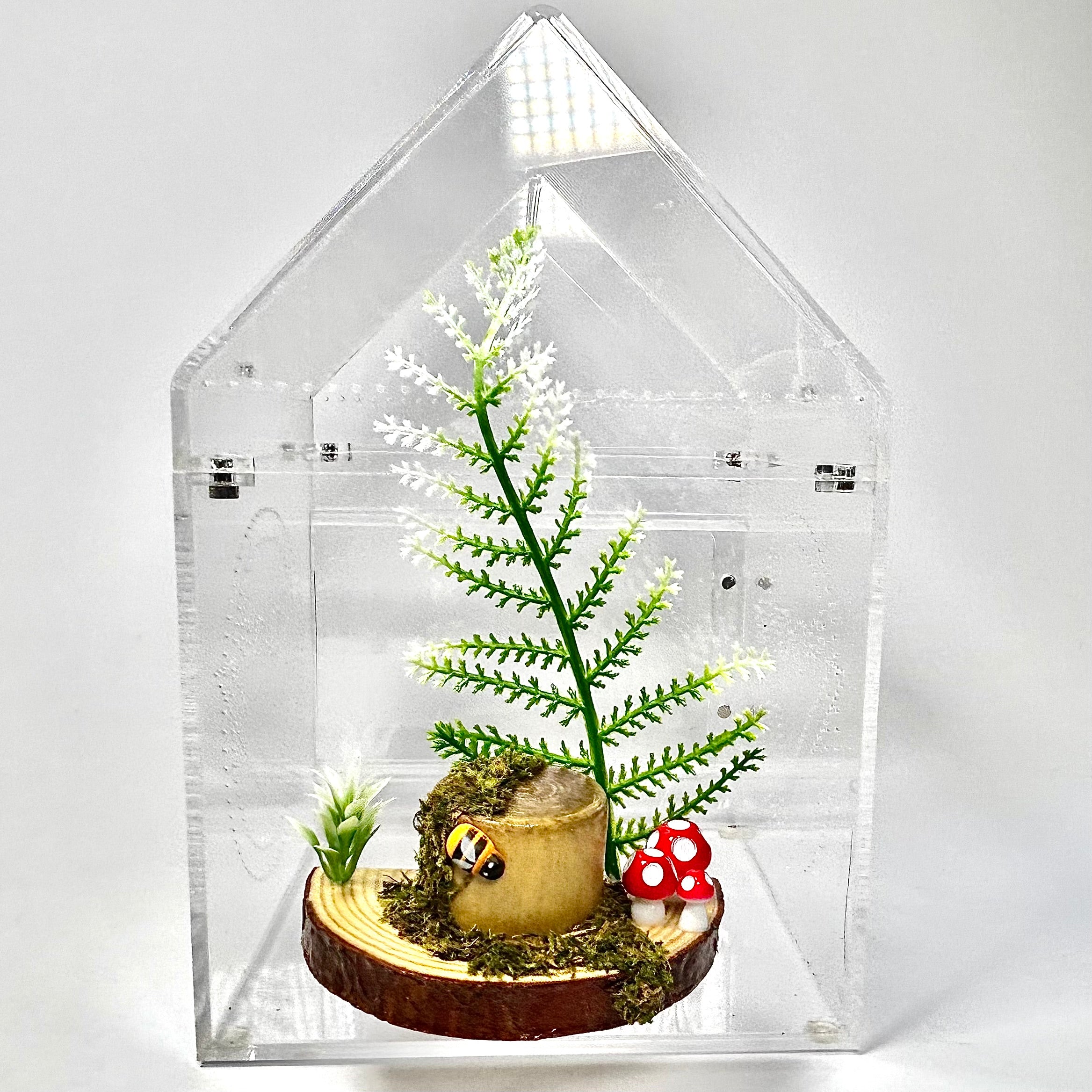 Forest Floor Ledge – A Woodland Retreat for Your Jumper!