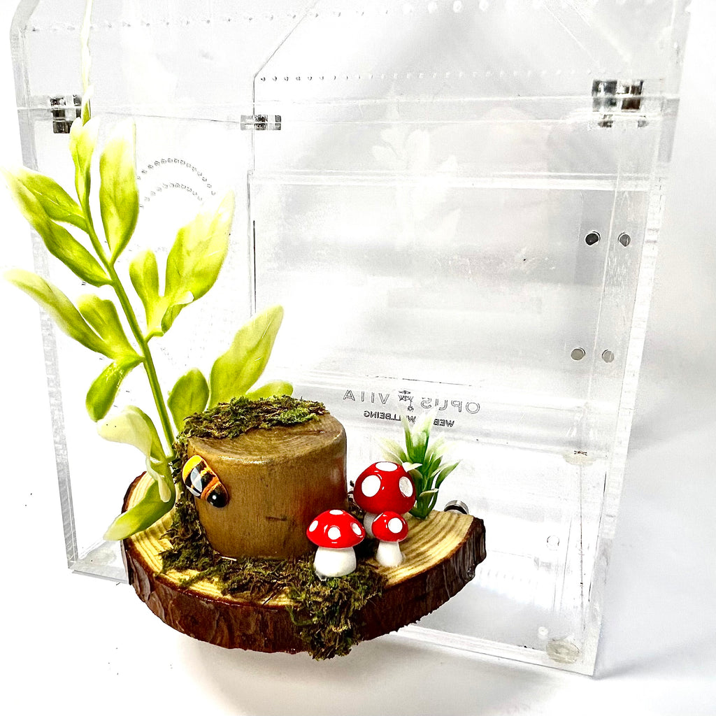 Forest Floor Ledge – A Woodland Retreat for Your Jumper!