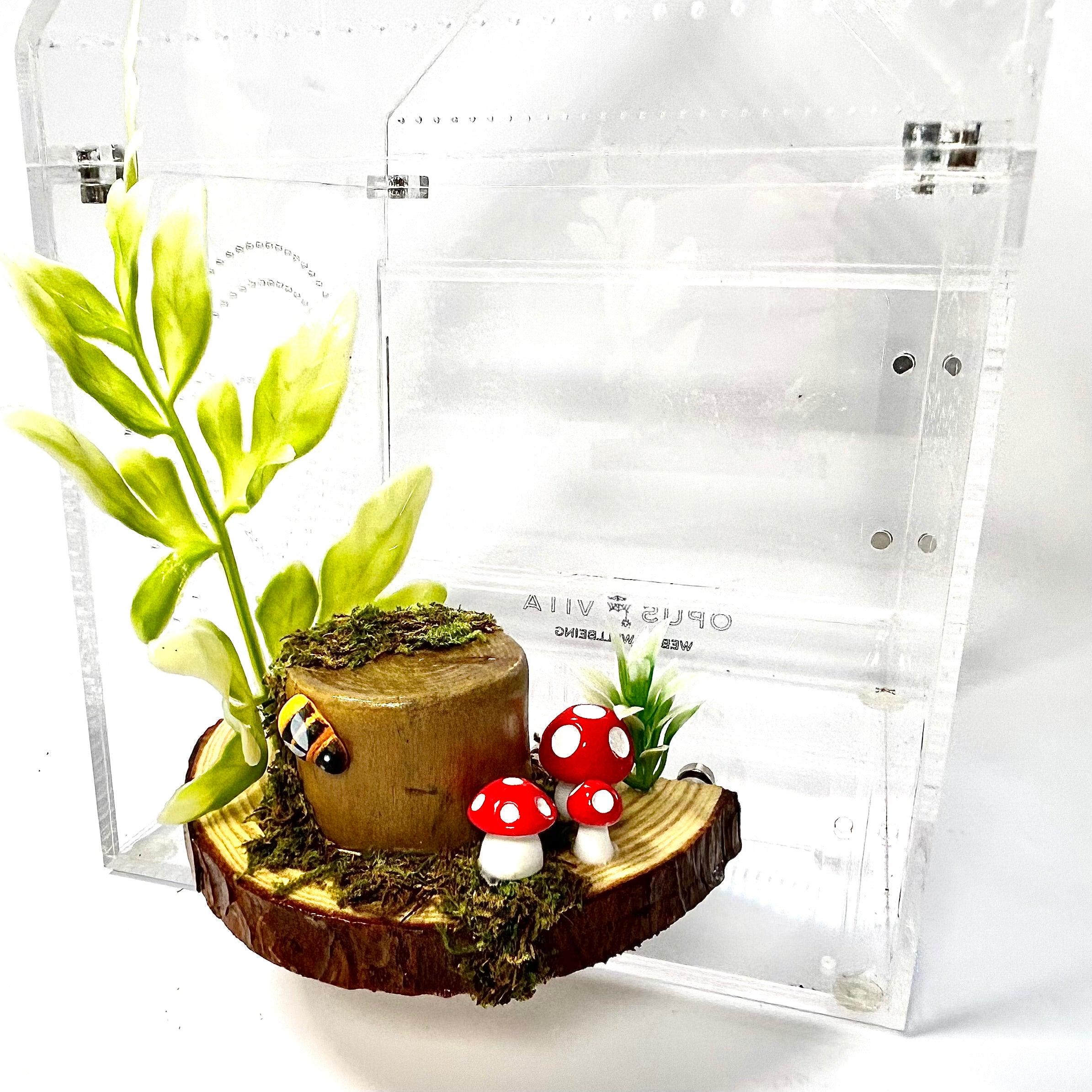 Forest Floor Ledge – A Woodland Retreat for Your Jumper!