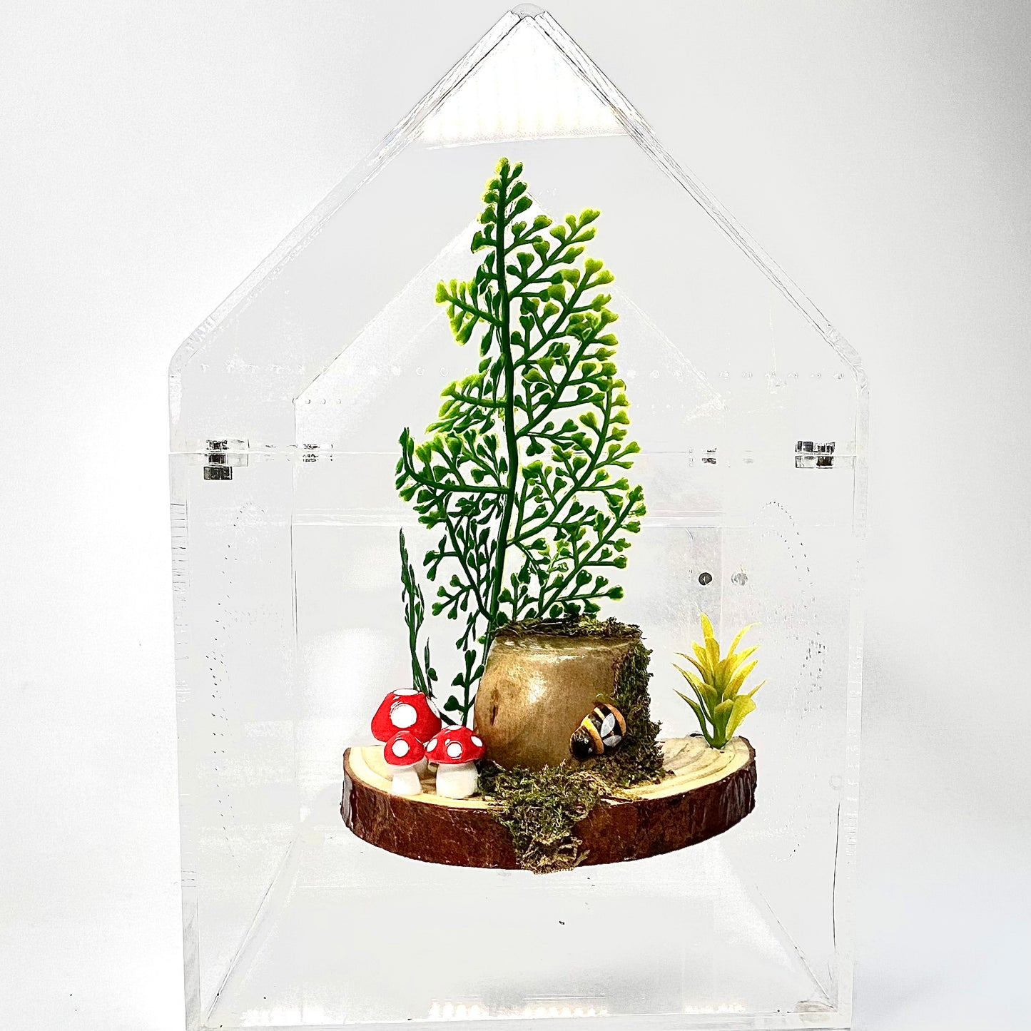Forest Floor Ledge – A Woodland Retreat for Your Jumper!