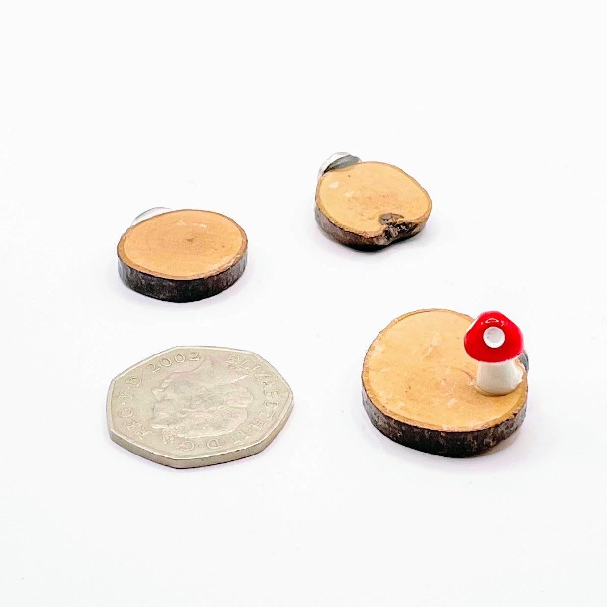 3 Wooden Stepping Stones with Mini Toadstool - Decor - For Jumping Spiders - Opus Vita