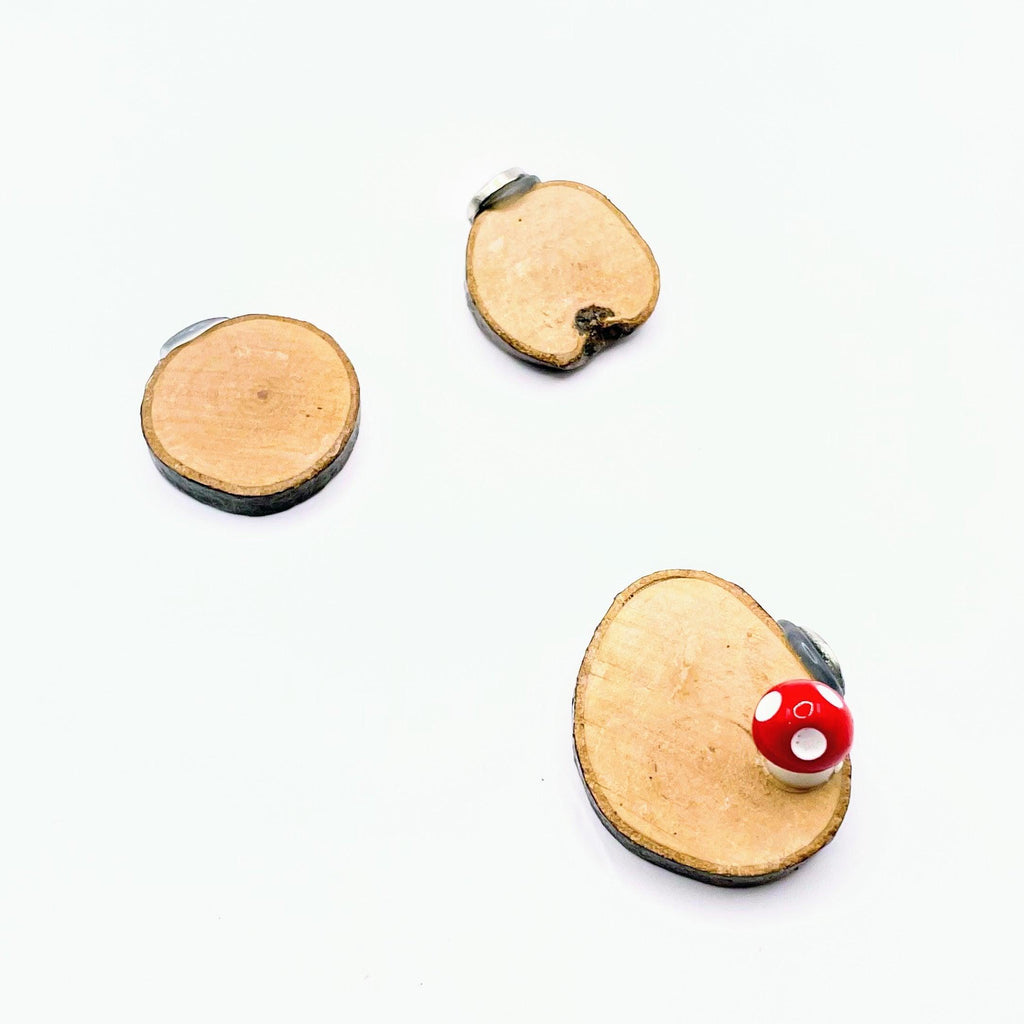3 Wooden Stepping Stones with Mini Toadstool - Decor - For Jumping Spiders - Opus Vita
