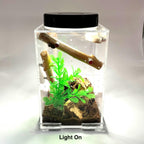 Led Rechargeable Top Light for Enclosure - for Jumping Spiders - Opus Vita