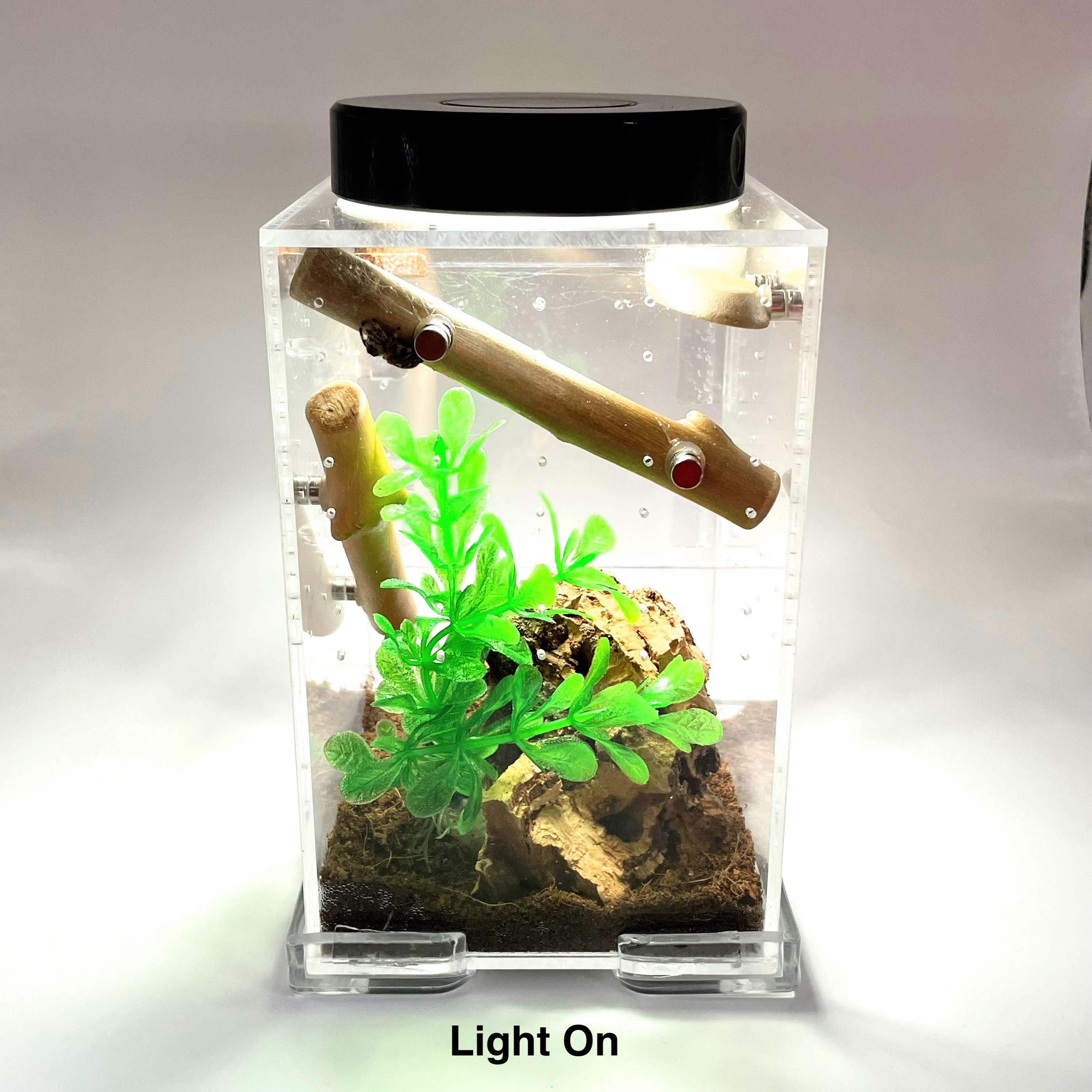 Led Rechargeable Top Light for Enclosure - for Jumping Spiders - Opus Vita