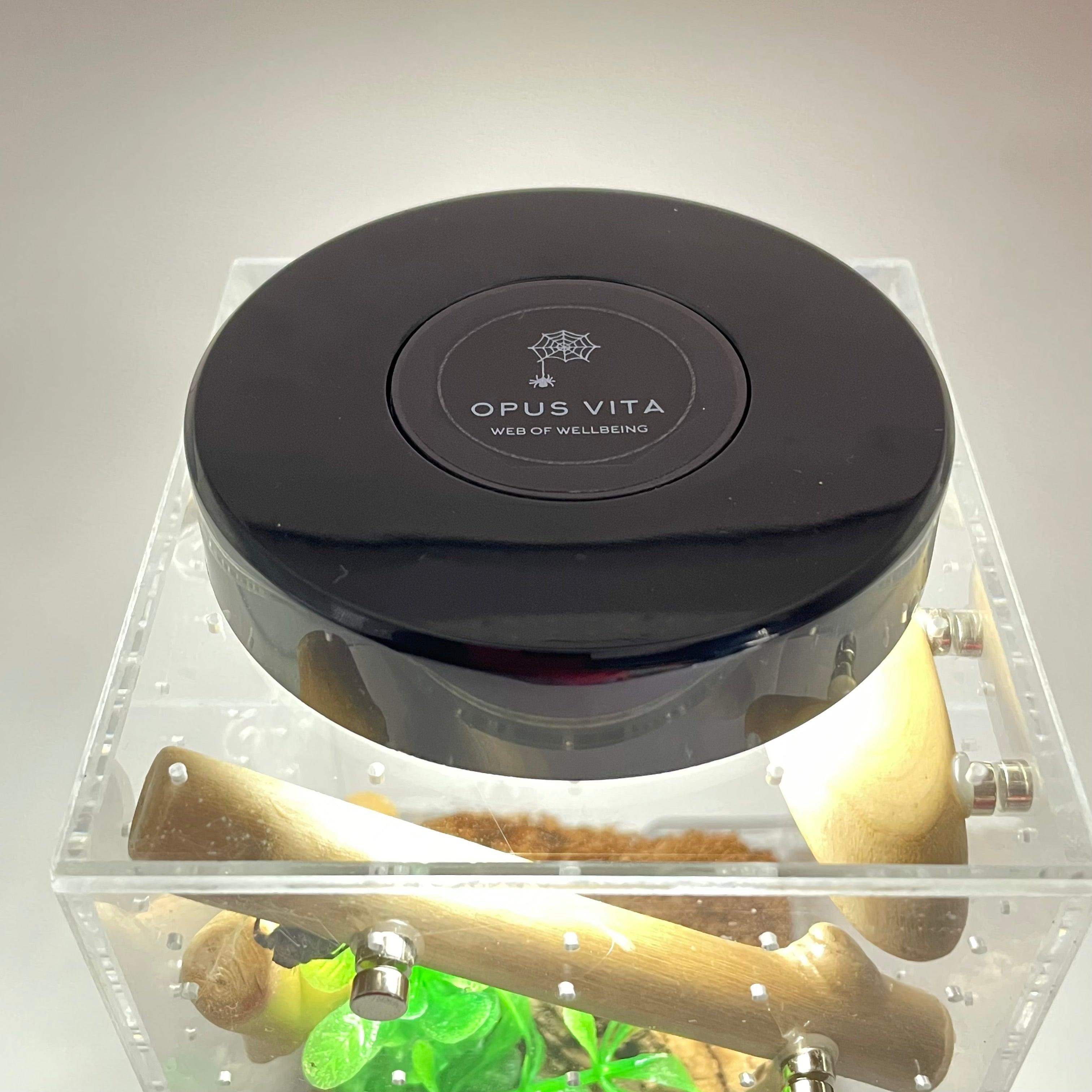 Led Rechargeable Top Light for Enclosure - for Jumping Spiders - Opus Vita