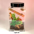 Led Rechargeable Top Light for Enclosure - for Jumping Spiders - Opus Vita