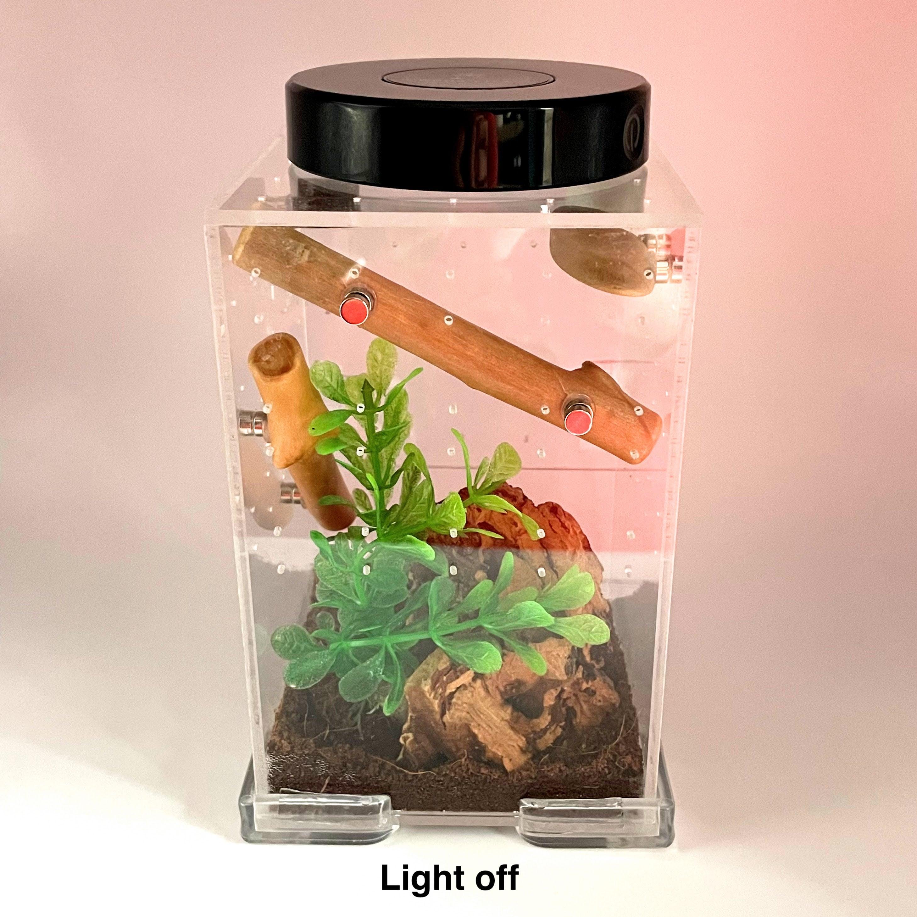 Led Rechargeable Top Light for Enclosure - for Jumping Spiders - Opus Vita