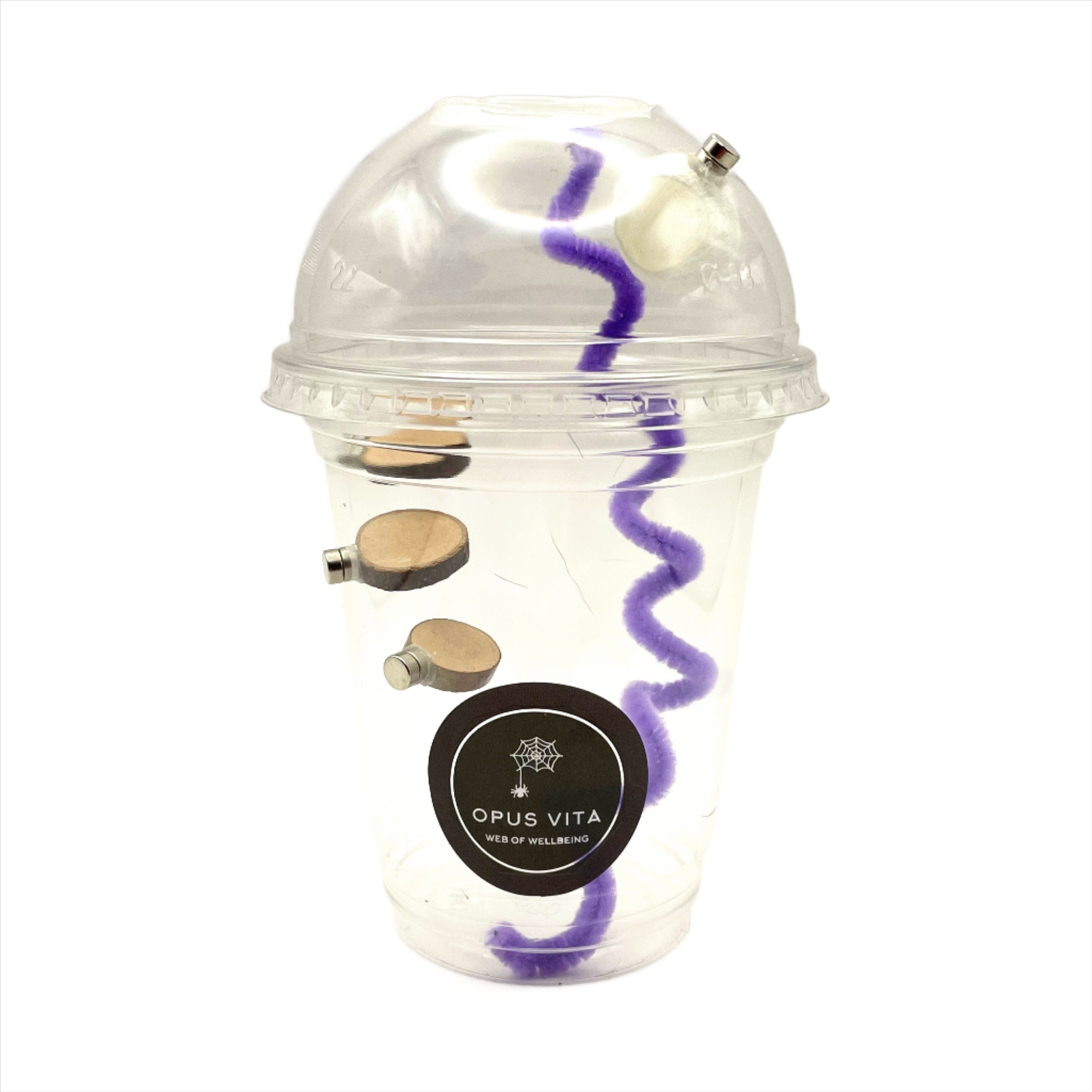 Starter Cups Kits - for Jumping Spider - Small Enclosures - Opus Vita