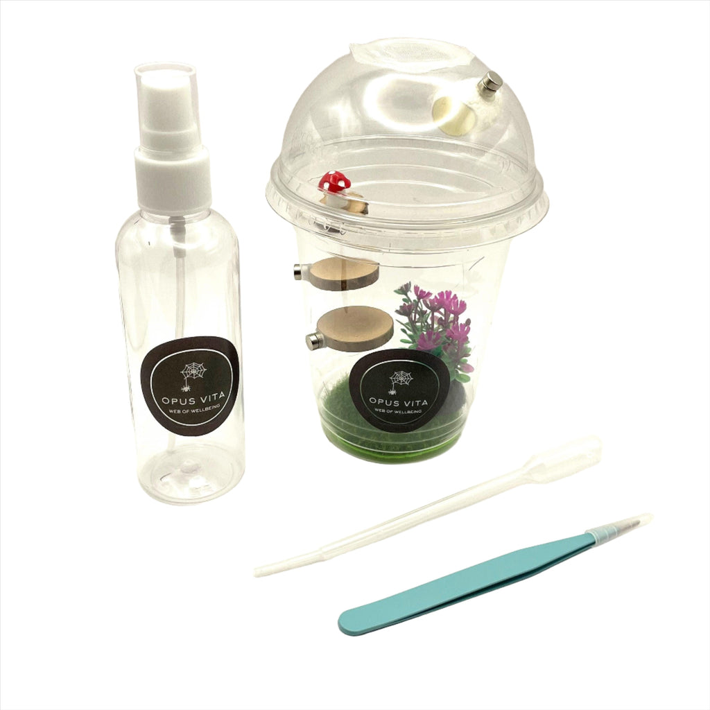 Starter Cups Kits - for Jumping Spider - Small Enclosures - Opus Vita
