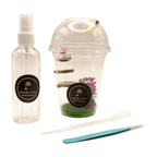 Starter Cups Kits - for Jumping Spider - Small Enclosures - Opus Vita