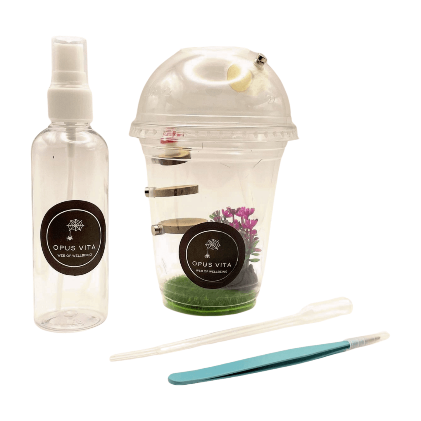 Starter Cups Kits - for Jumping Spider - Small Enclosures - Opus Vita