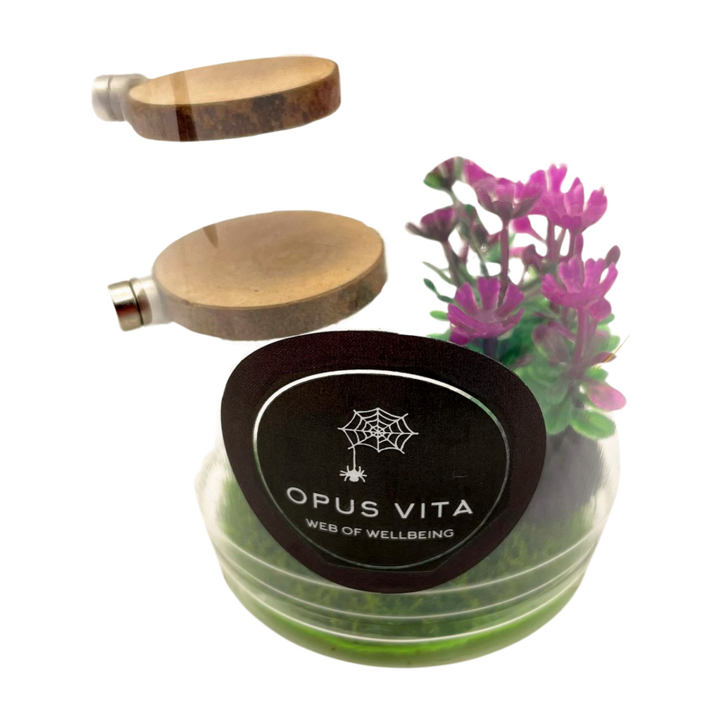 Starter Cups Kits - for Jumping Spider - Small Enclosures - Opus Vita