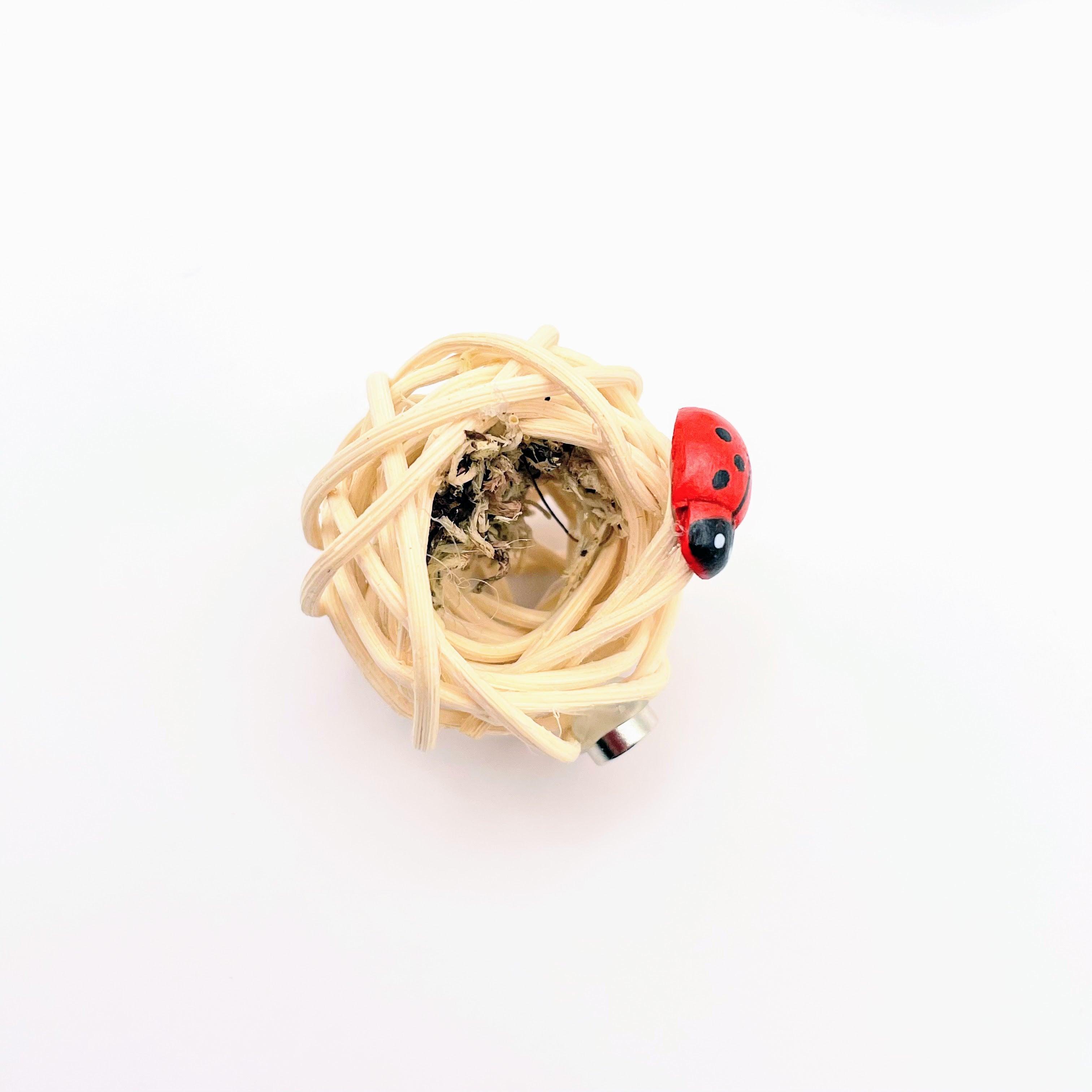 Wicker Hides - Jumping Spider - for Jumping Spiders - Opus Vita