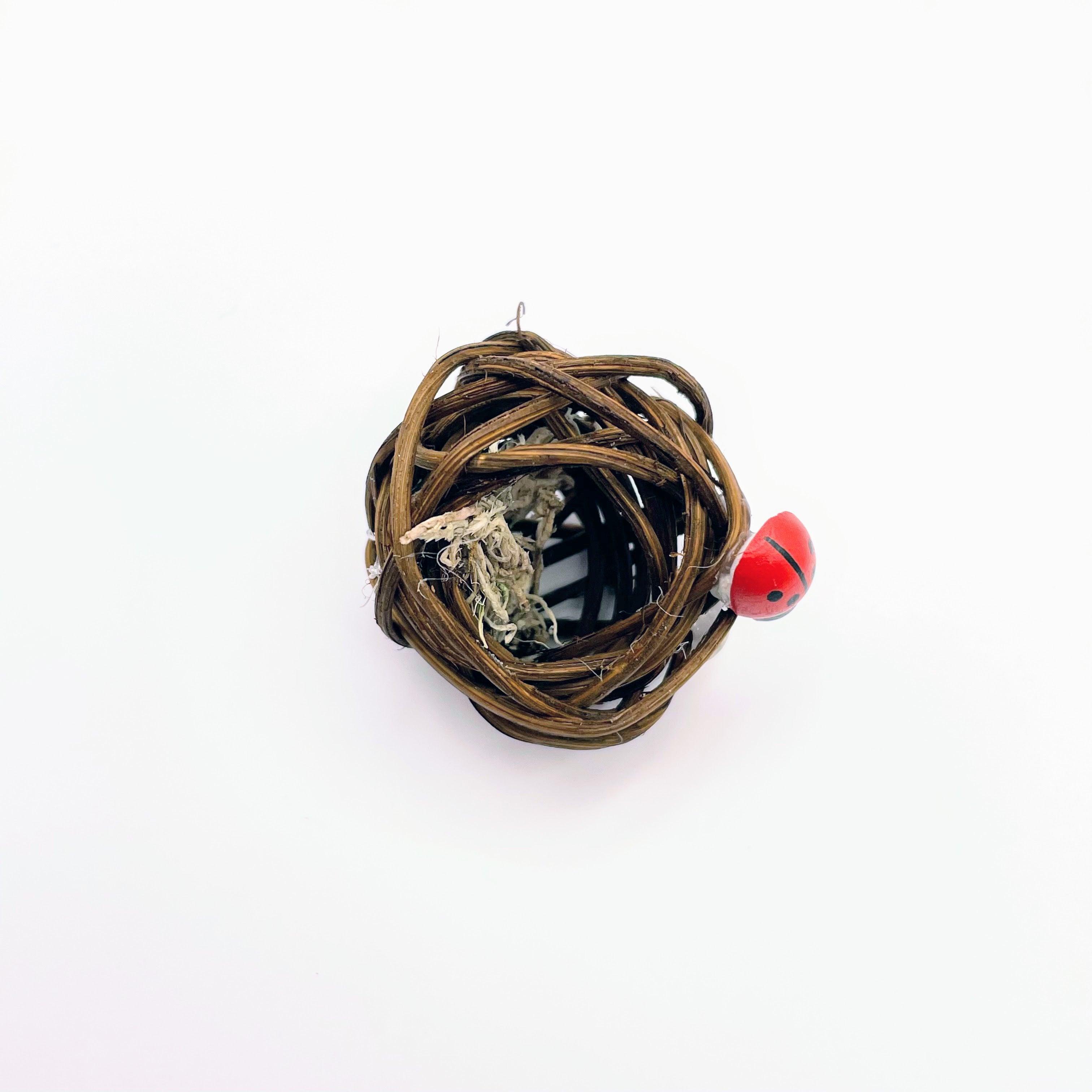 Wicker Hides - Jumping Spider - for Jumping Spiders - Opus Vita