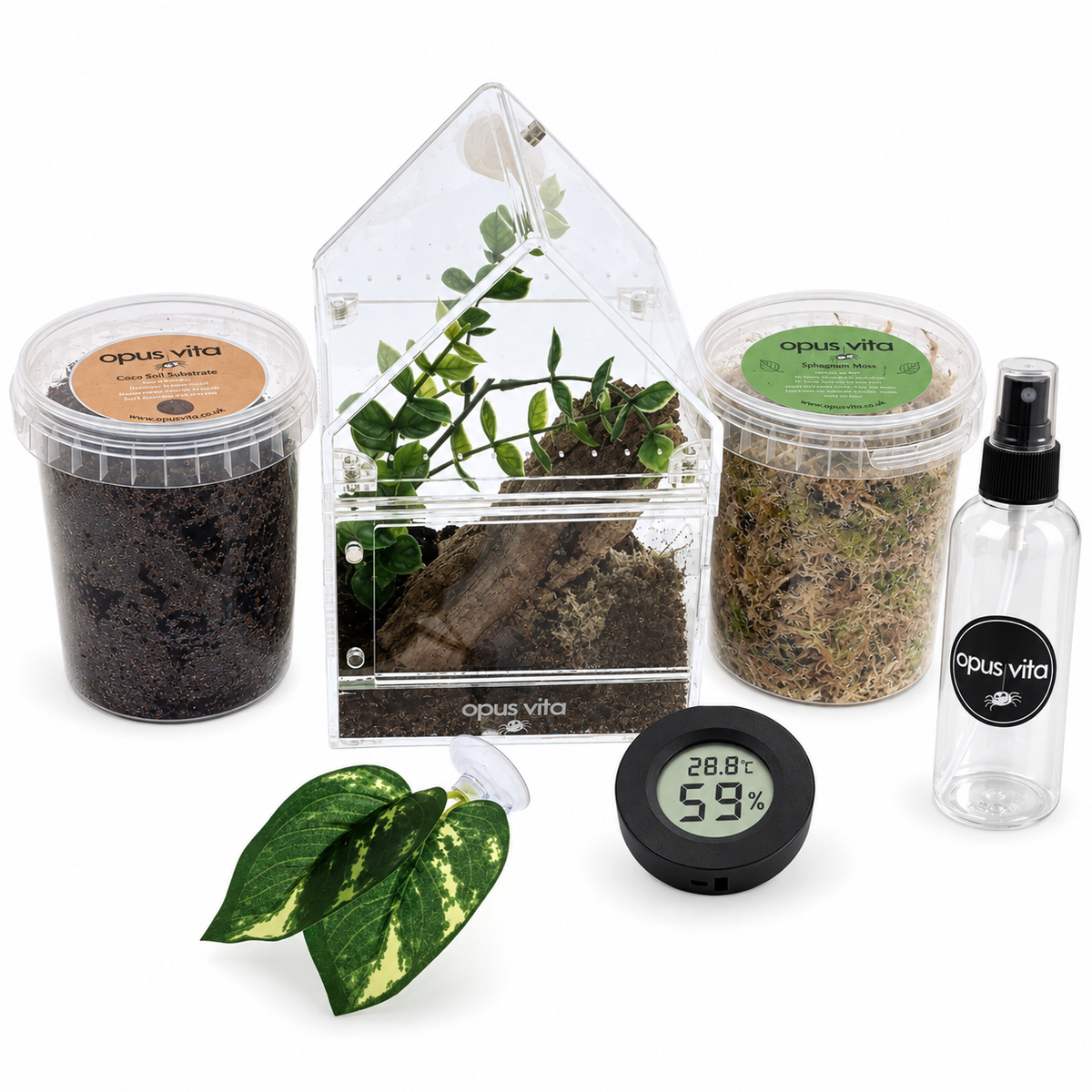 NEW Fidus V2 Bundle - Premium Jumping Spider Enclosure