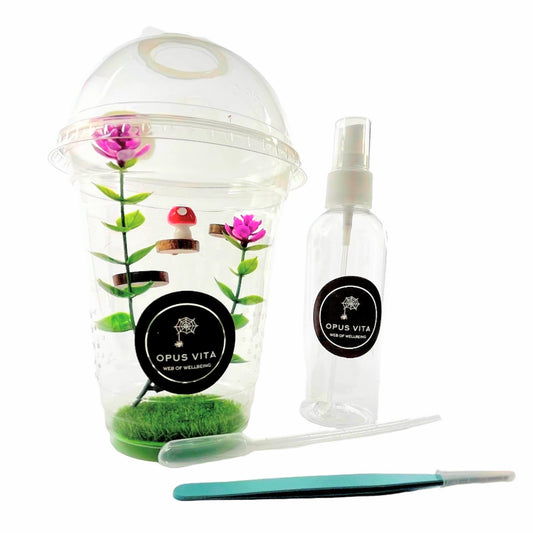 Starter Cups Kits - for Jumping Spider - Small Enclosures - Opus Vita