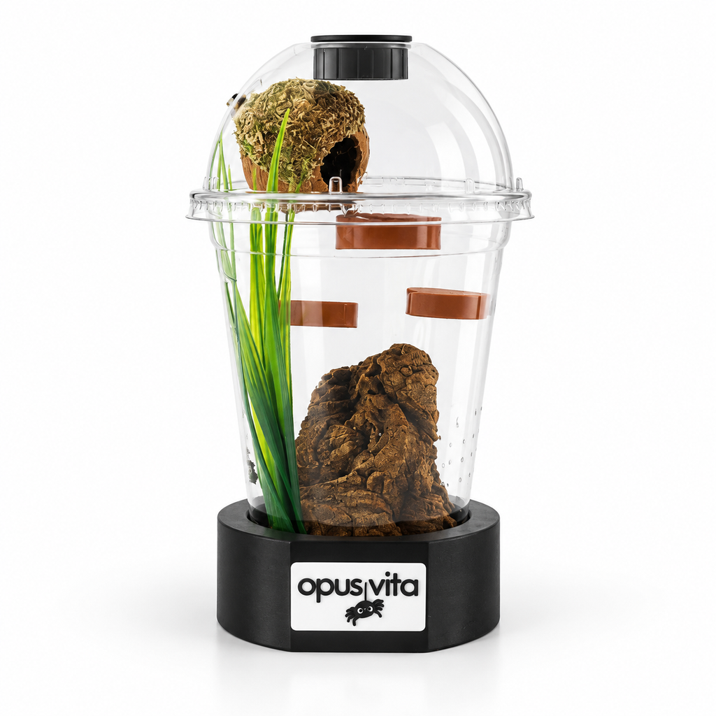 Nidus - Mini Enclosure