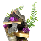 Woodland Spider Island – Fernhide