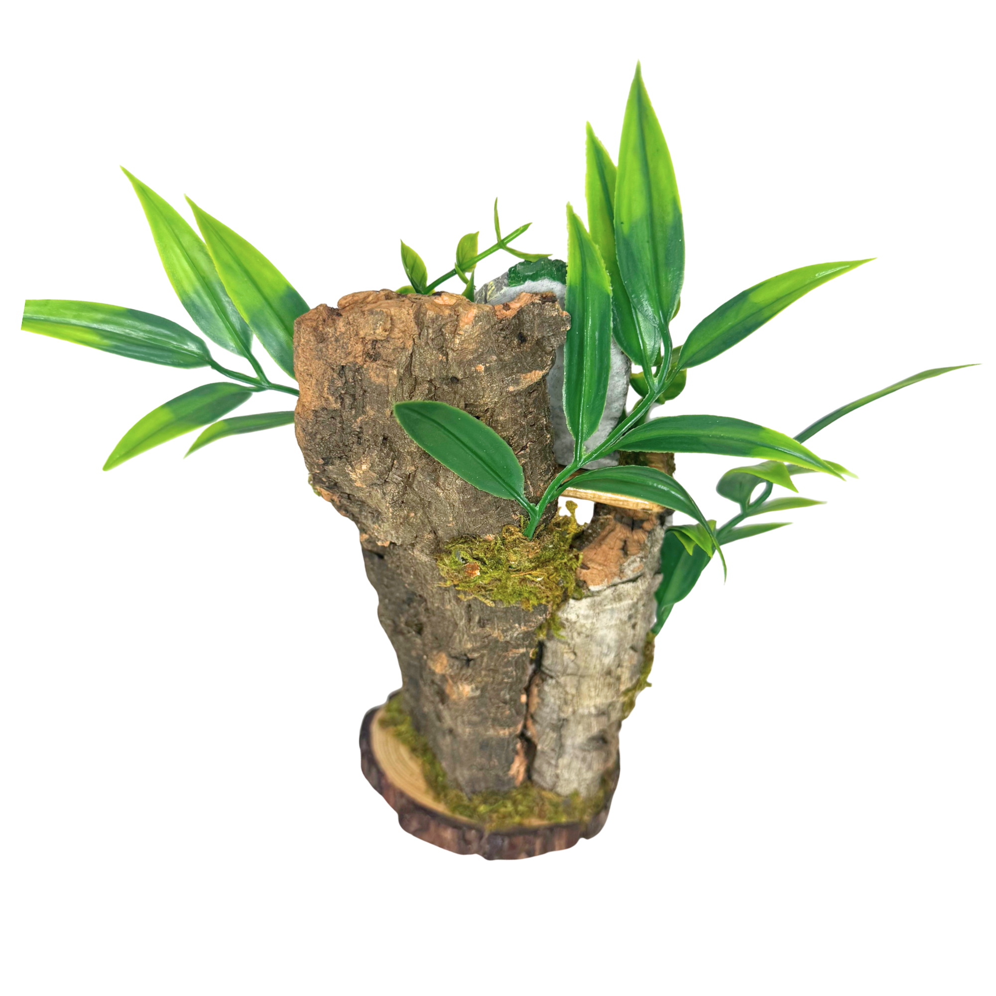 Woodland Spider Island – Woodland Hollow