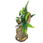 Woodland Spider Island – Woodland Hollow