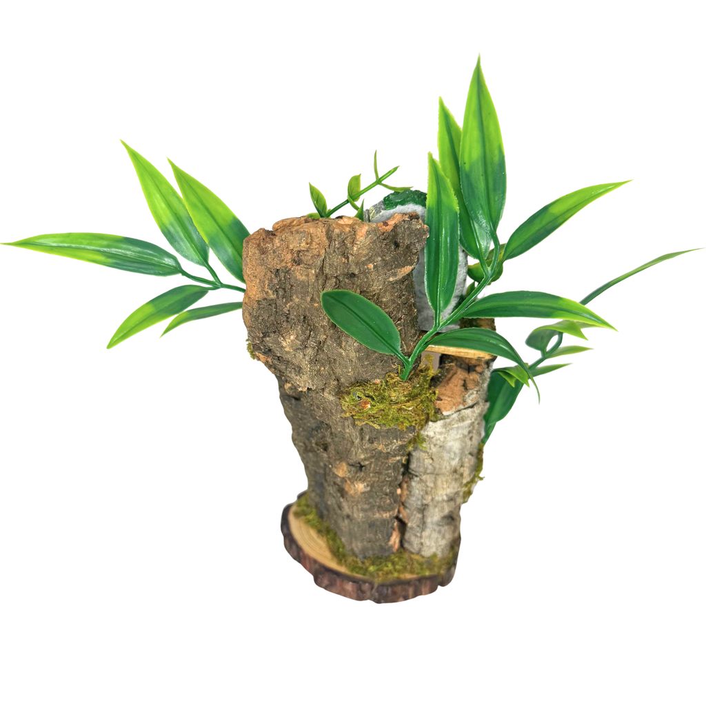 Woodland Spider Island – Woodland Hollow