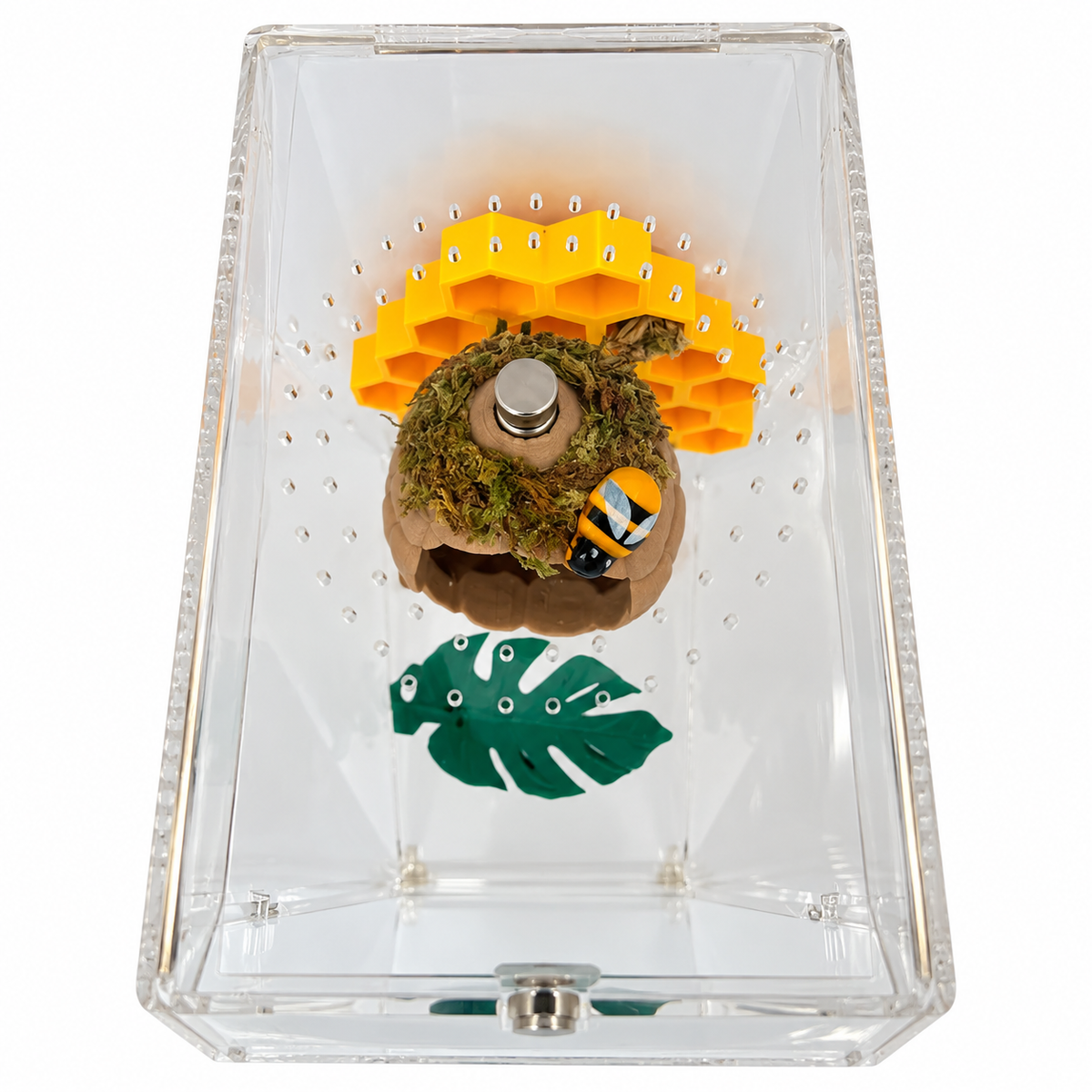 🐝 Bumblebee Enrichment Decor Set – Magnetic 3D Printed Habitat Decor