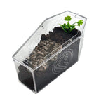 Loculus - Coffin Enclosure - Large - Spider Habitat