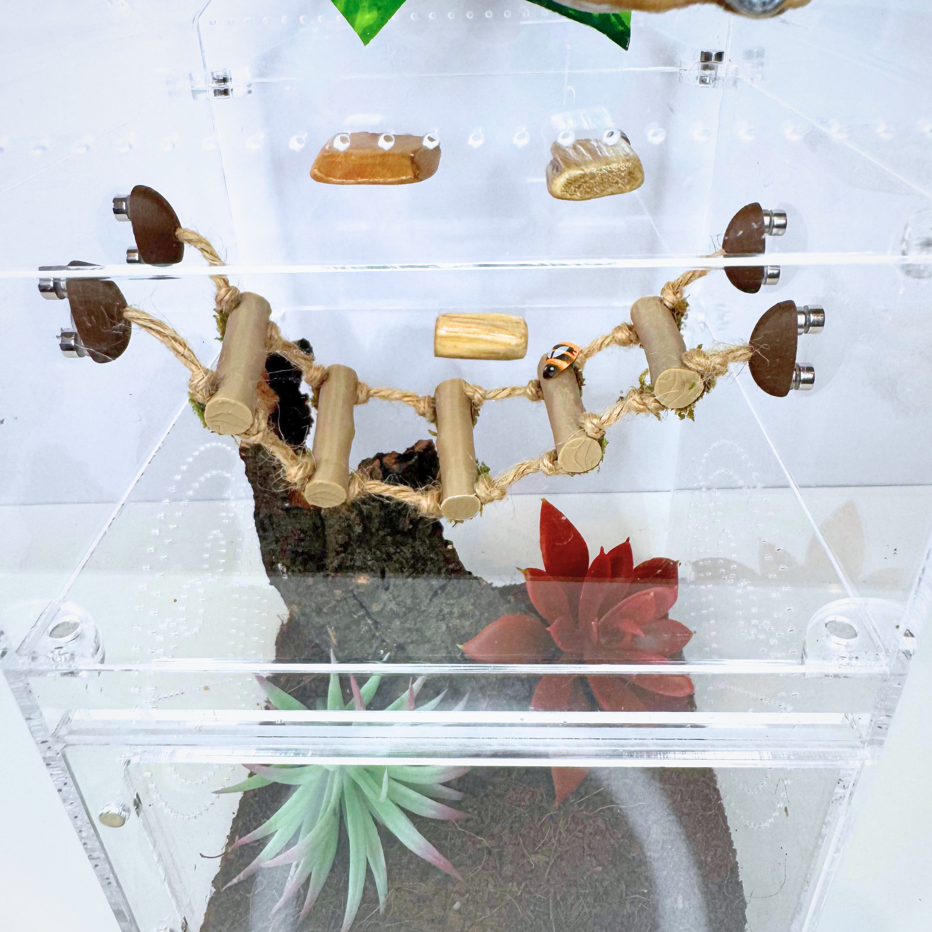 Woodland Rope Bridge – Natural Enrichment Climbing Accessory