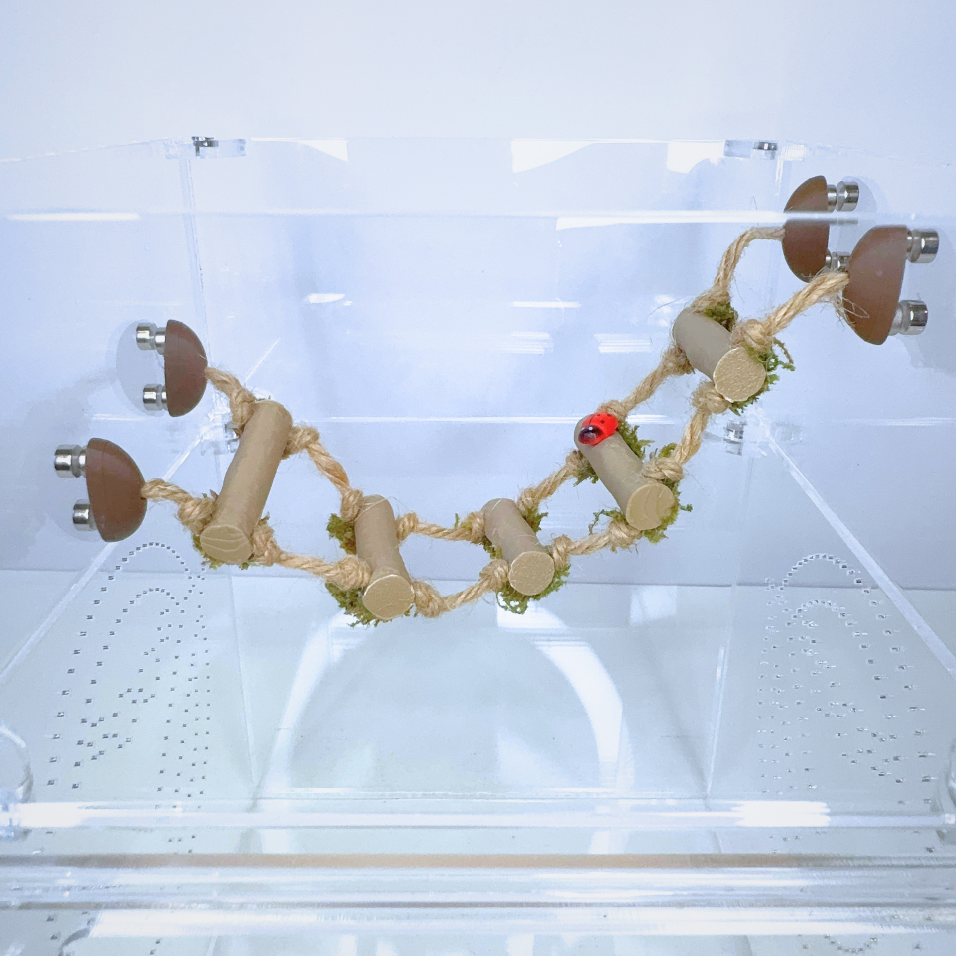 Woodland Rope Bridge – Natural Enrichment Climbing Accessory