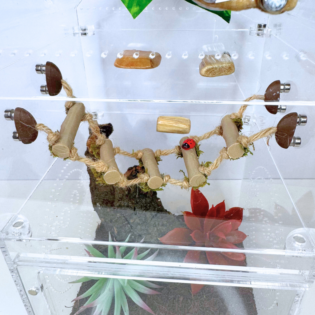 Woodland Rope Bridge – Natural Enrichment Climbing Accessory