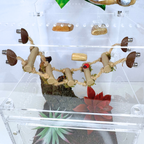 Woodland Rope Bridge – Natural Enrichment Climbing Accessory