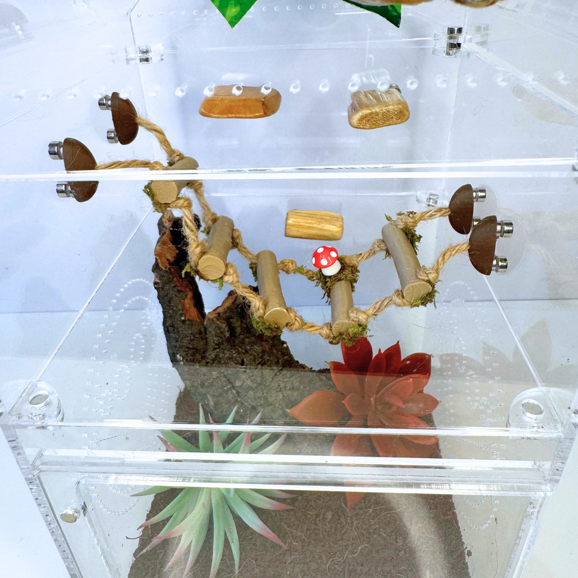 Woodland Rope Bridge – Natural Enrichment Climbing Accessory