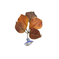 Suction Cup Decorative Leaves – Enclosure Foliage