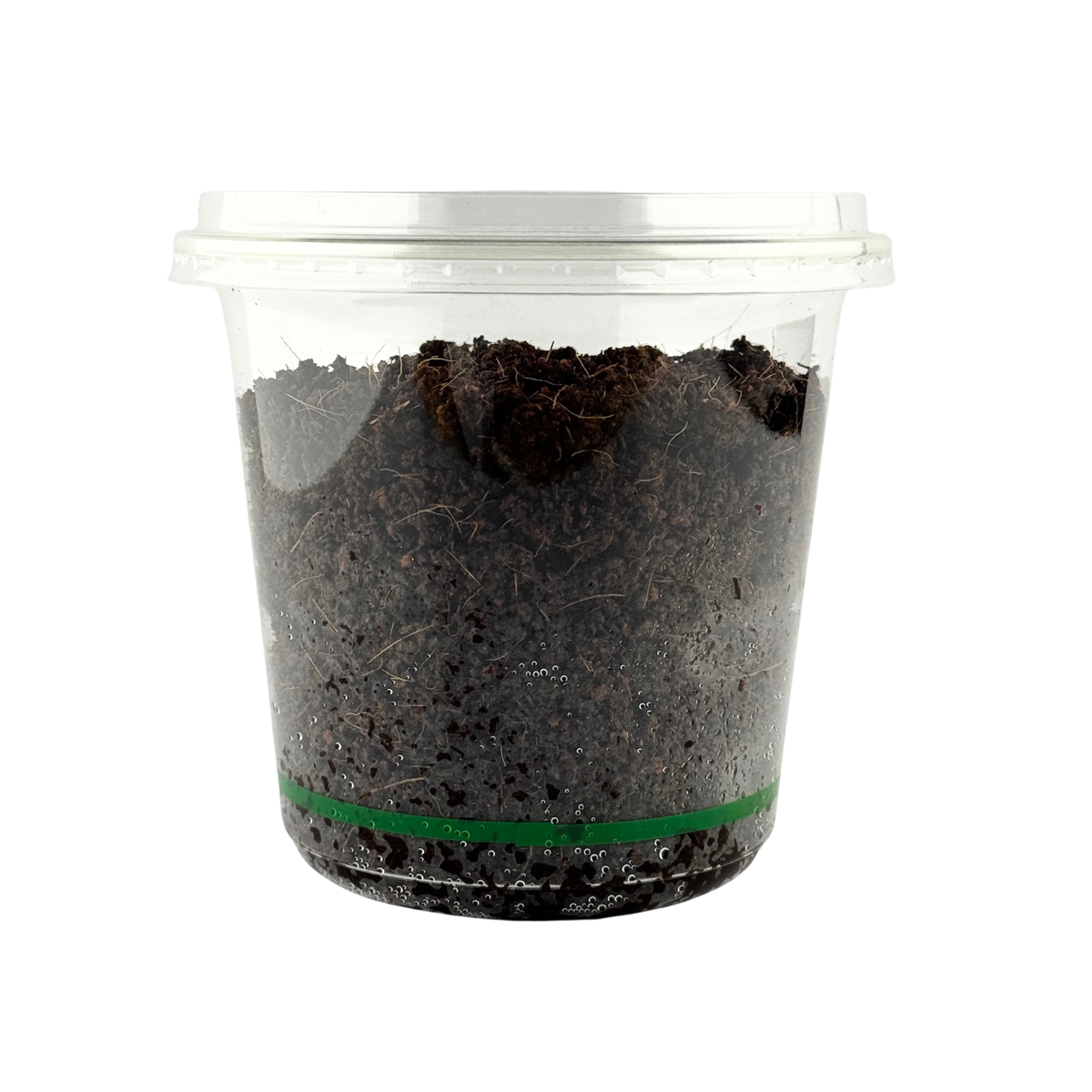 Coco Coir Substrate - For Jumping Spider Enclosures - 200g - Ready to Use